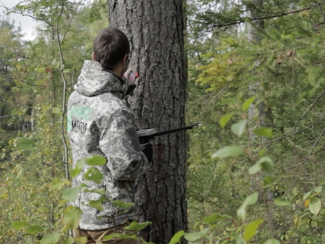 Logging site tree measurements